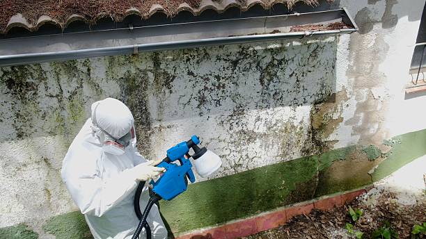 Top rated local Attic Mold Remediation specialists in Salem, VA